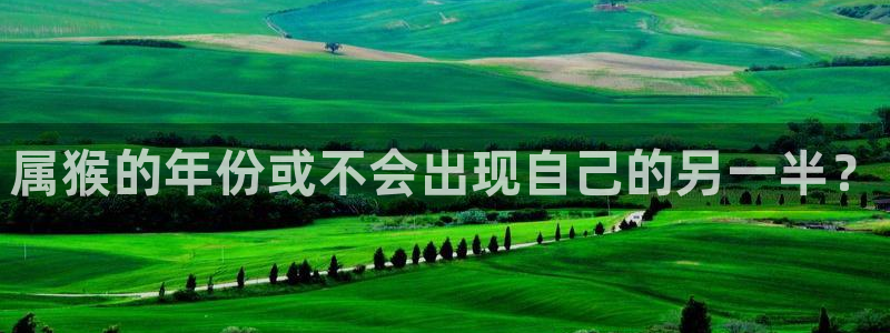 sbobet利记4：属猴的年份或不会出现自己的另一半？