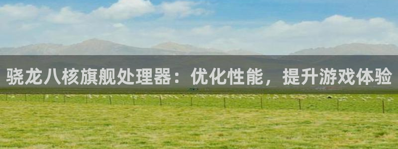 sbobet利记体育注册登录入口：骁龙八核旗舰处理器：优化性能，提升游戏体验