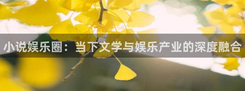 sbobet利记体育凯捷平台代理：小说娱乐圈：当下文学与娱乐产业的深度融合