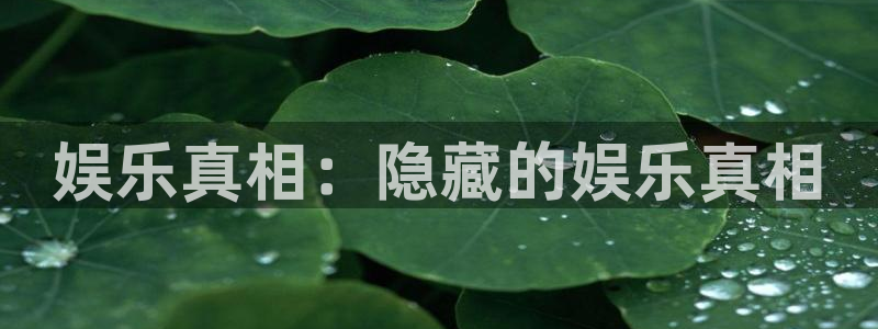 sbobet利记包怎么样：娱乐真相：隐藏的娱乐真相