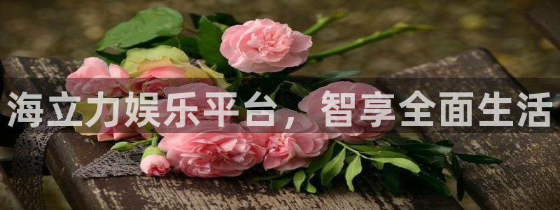sbobet利记体育代理：海立力娱乐平台，智享全面生活