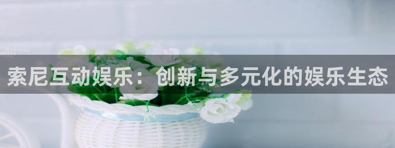 sbobet利记招商：索尼互动娱乐：创新与多元化的娱乐生态