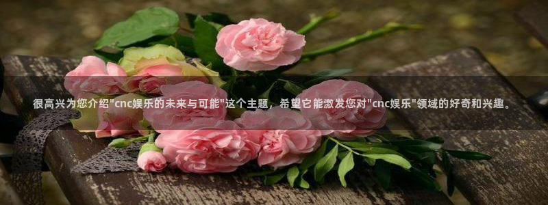 sbobet利记体育3：很高兴为您介绍\