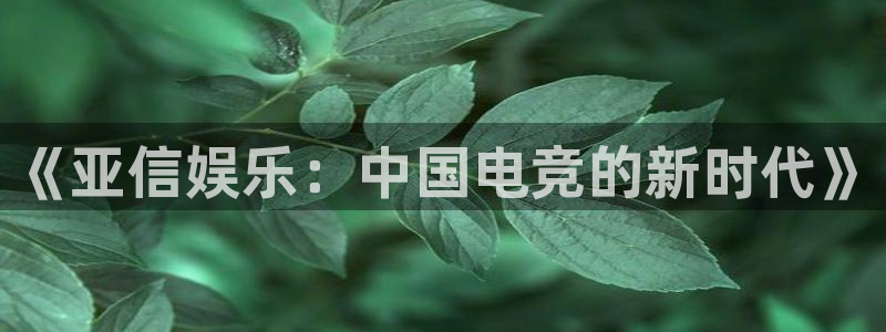 sbobet利记能源：《亚信娱乐：中国电竞的新时代》