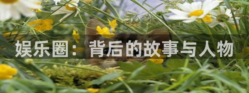 sbobet利记注册入口：娱乐圈：背后的故事与人物