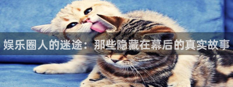 sbobet利记.ccmpc正版：娱乐圈人的迷途：那些隐藏在幕后的真实故事