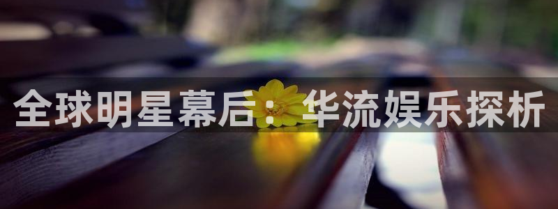 南宫sbobet利记官网下载链接：全球明星幕后：华流娱乐探析