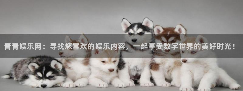 sbobet利记平台开户链接：青青娱乐网：寻找您喜欢的娱乐内容，一起享受数字世界的美好时光！