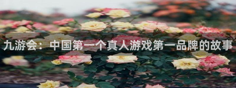 sbobet利记怎么下载：九游会：中国第一个真人游戏第一品牌的故事