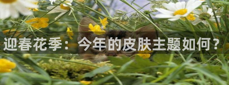 福建sbobet利记机电股份公司