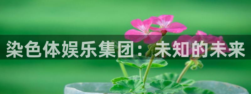 sbobet利记体育热门赛事有哪些：染色体娱乐集团：未知的未来