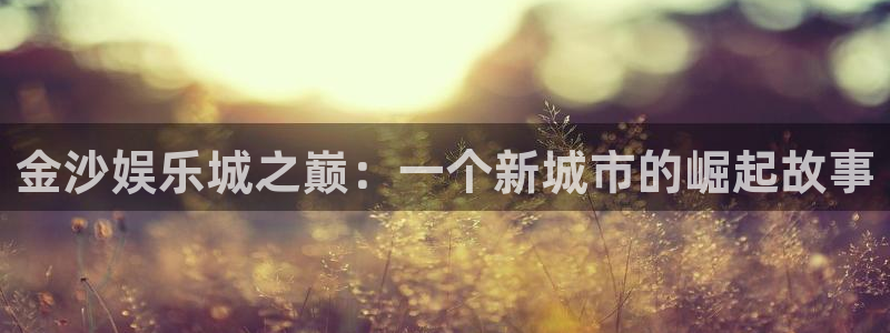 sbobet利记平台注册：金沙娱乐城之巅：一个新城市的崛起故事