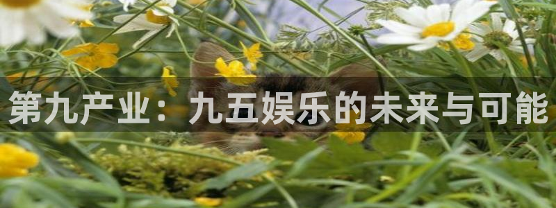 福建sbobet利记机电股份公司：第九产业：九五娱乐的未来与可能