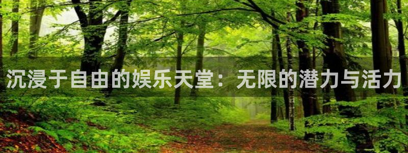 sbobet利记3登陆：沉浸于自由的娱乐天堂：无限的潜力与活力